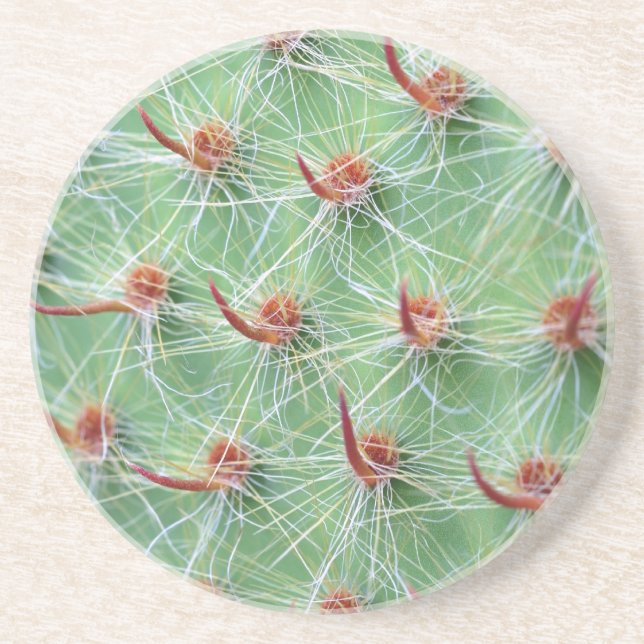 cactus drink coaster (Front)