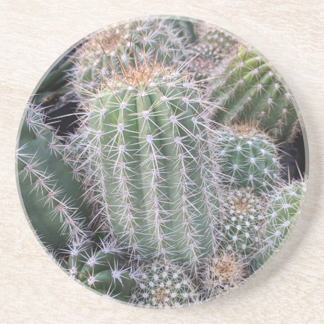 Cactus Drink Coaster (Front)