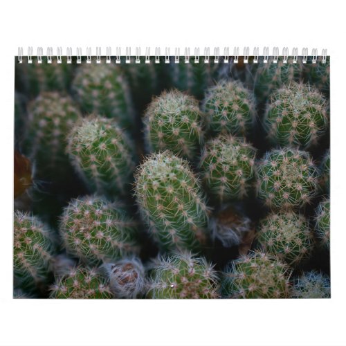 Cactus Family Calendar