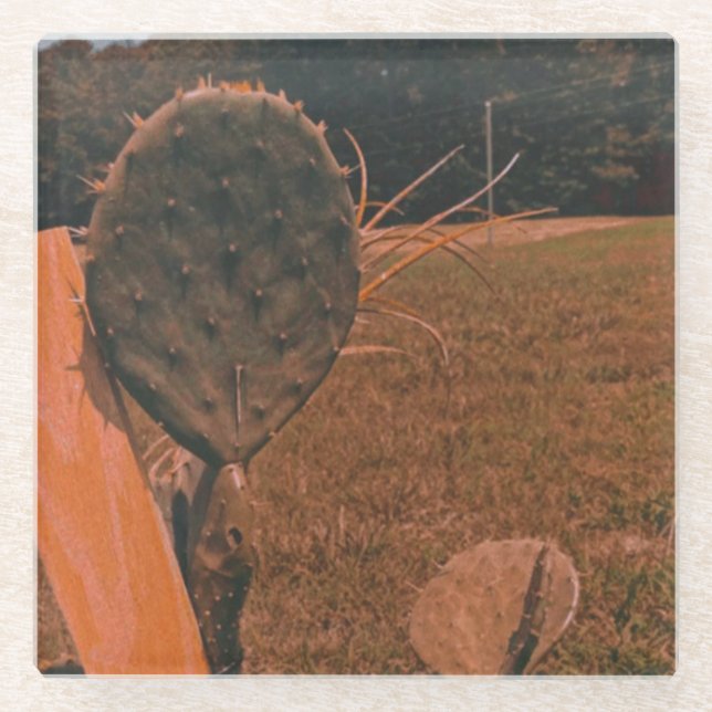 Cactus Field Glass Coaster (Front)