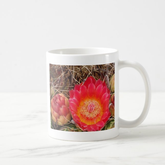 Cactus Floral Photo Southwest Desert Flower Coffee Mug (Right)