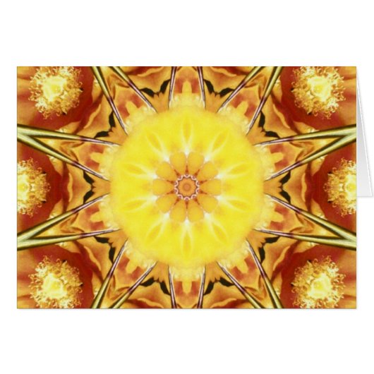 Cactus Flower (Front Horizontal)