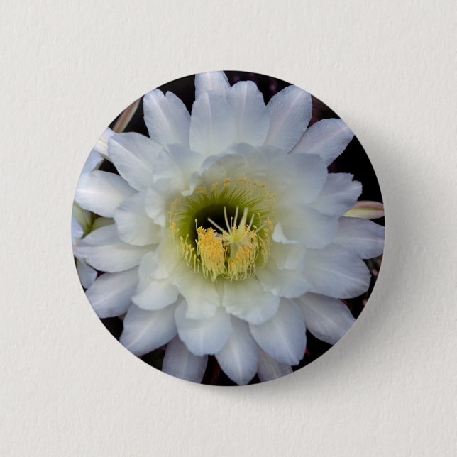 Cactus Flower 4355 Button (Front)