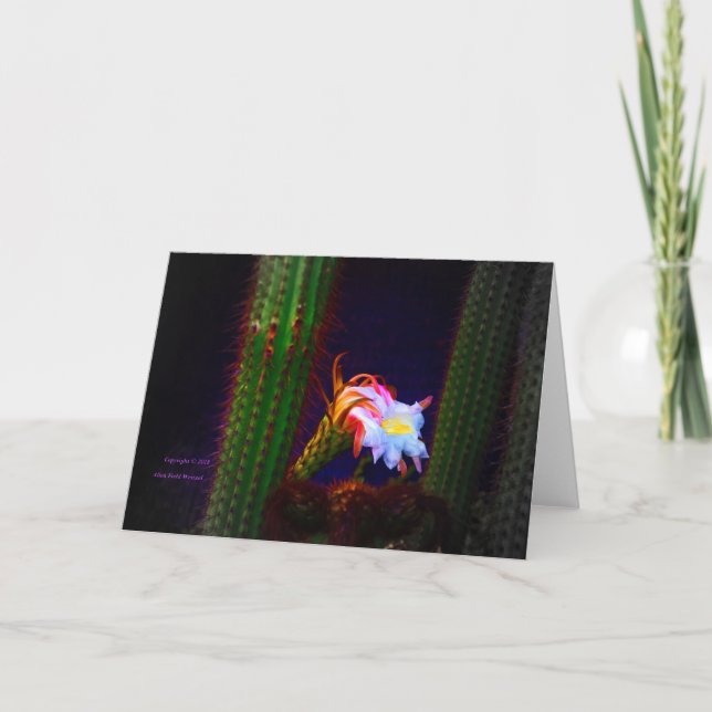 “Cactus Flower At Sunset #105” Photograph Card (Front)