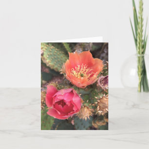 Cactus Flower Blossoms Note Card