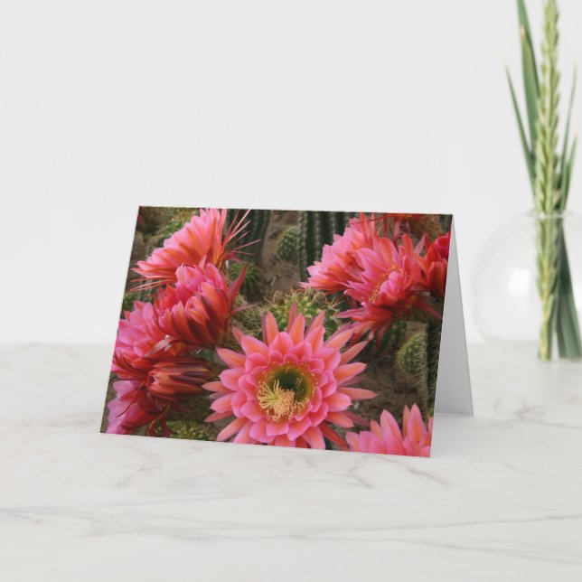 Cactus flower card (Front)