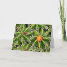 Cactus Flower Card - Customize Greeting
