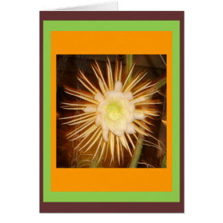 Cactus Flower Cards
