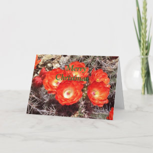 Cactus Flower Christmas Card
