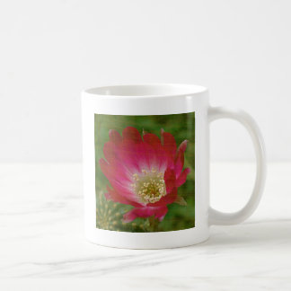 Cactus Flower Coffee Mug