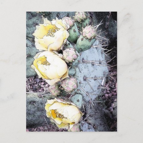 Cactus Flower Digital Ink Postcard