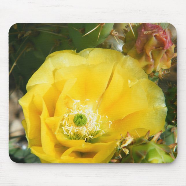 cactus flower mouse pad (Front)