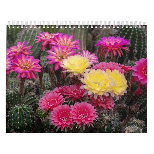 Cactus Flower Paint Calendar