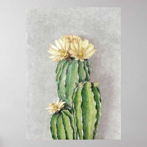 Cactus Flower Painting Poster