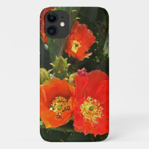 Cactus Flower Photo Bright Red Bloom Southwest iPhone 11 Case