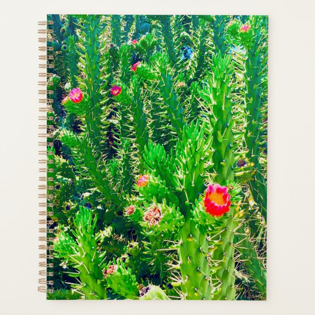 Cactus Flower Planner (Front)