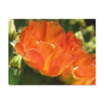 Cactus Flower Postcard