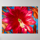 Pink flower blooming on desert cactus at Red Rock Canyon Las Vegas Nevada  Stock Photo - Alamy