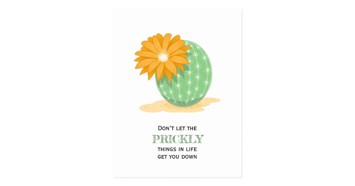 Cactus Flower Pricky Things Quote Postcard