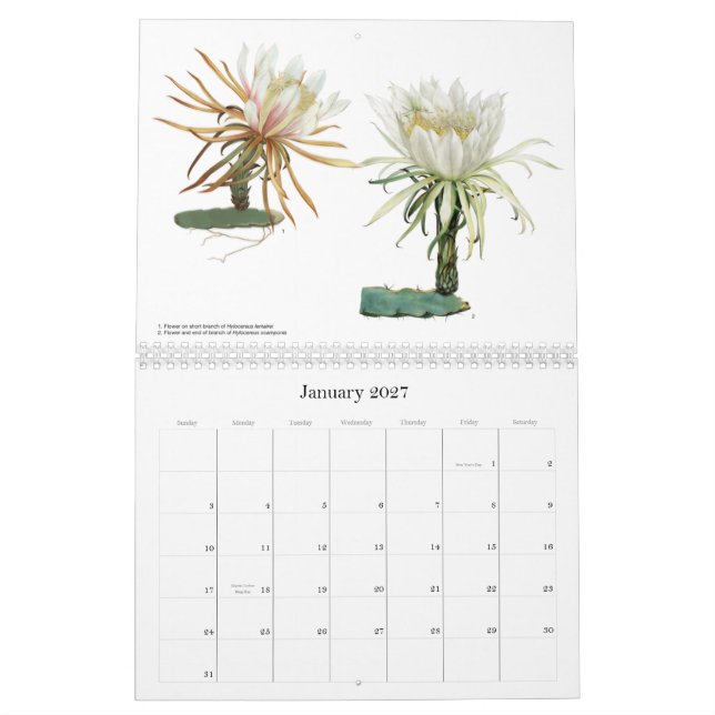 Cactus Flowers Calendar (Jan 2027)