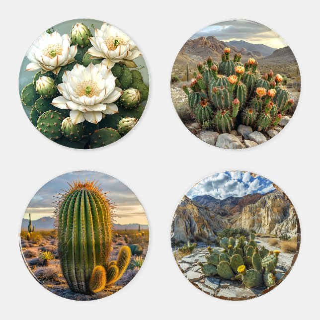 Cactus Flowers Desert  Rocks Mountains   Coaster Set (Set)