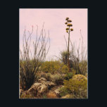 Cactus Flowers New Mexico Blooms Postcard<br><div class="desc">Hi there! Hope you like this photo I captured on my travels. Feel free to add your own text! Check my shop for more.</div>