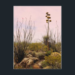 Cactus Flowers New Mexico Blooms Postcard<br><div class="desc">Hi there! Hope you like this photo I captured on my travels. Feel free to add your own text! Check my shop for more.</div>