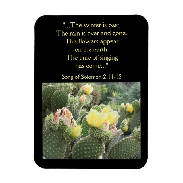 Cactus Flowers Song of Solomon Magnet (Vertical)