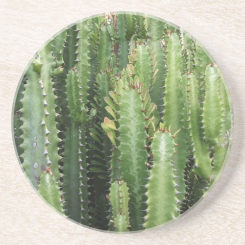 Cactus Garden Coaster