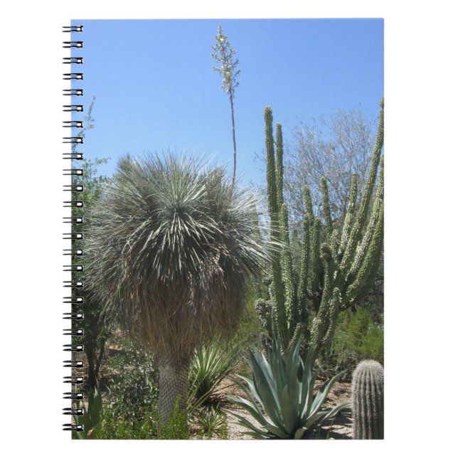 Cactus Garden Notebook (Front)