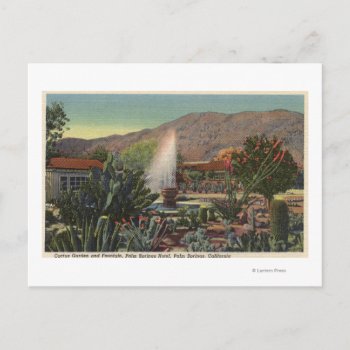Cactus Garden  Palm Springs Hotel Postcard by LanternPress at Zazzle