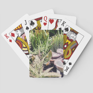 Cactus Garden Poker Cards