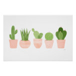 Cactus Garden Poster