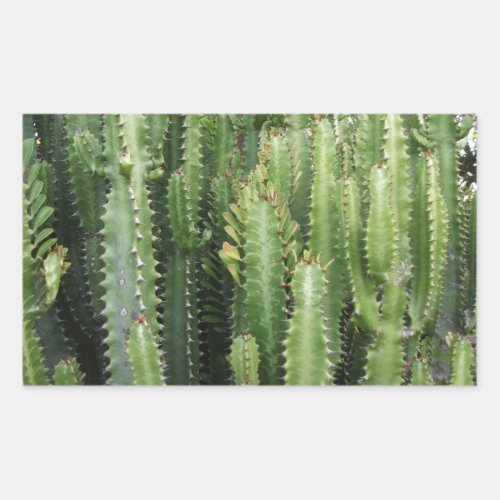 Cactus Garden Rectangular Sticker