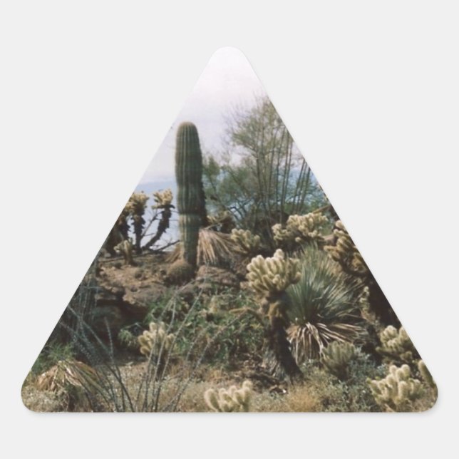 Cactus Garden Triangle Sticker (Front)