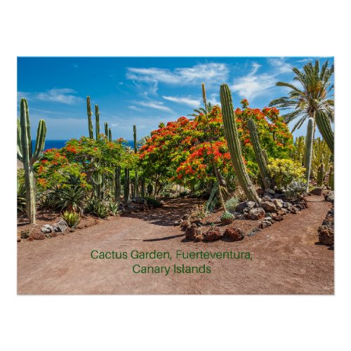 Cactus Garen Fuerteventura Canary Islands Poster