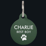 Cactus Green | Best Boy Dog in Wedding Pet ID Tag<br><div class="desc">Who doesn't want to show off their fur-babies on one of the most special days in their lives? "Best Boy" and pet's name inscribed on the front with the wedding date on the back. Background color can be changed to any color. Featuring lovely cactus green hues with a southwest vibe....</div>