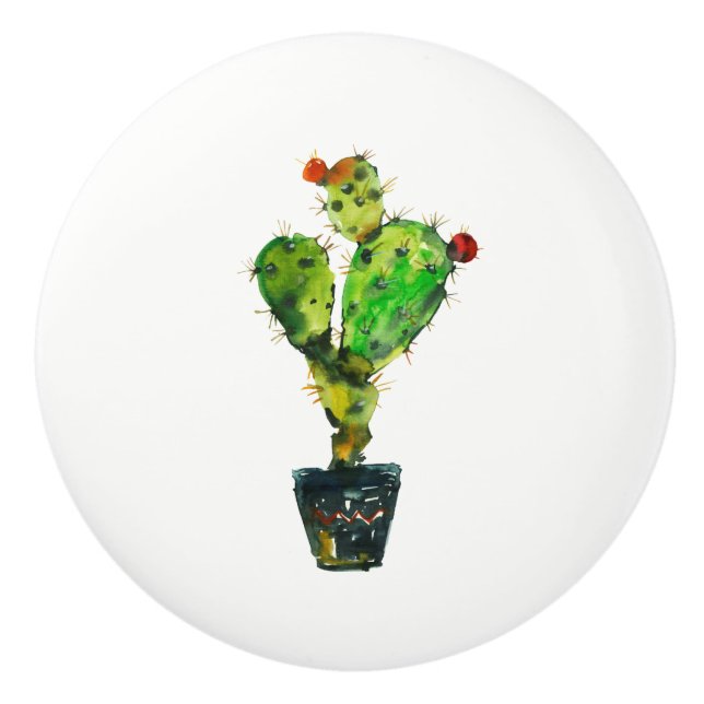 Cactus Green Desert Plant Boho Rustic Southwestern Ceramic Knob (Front)