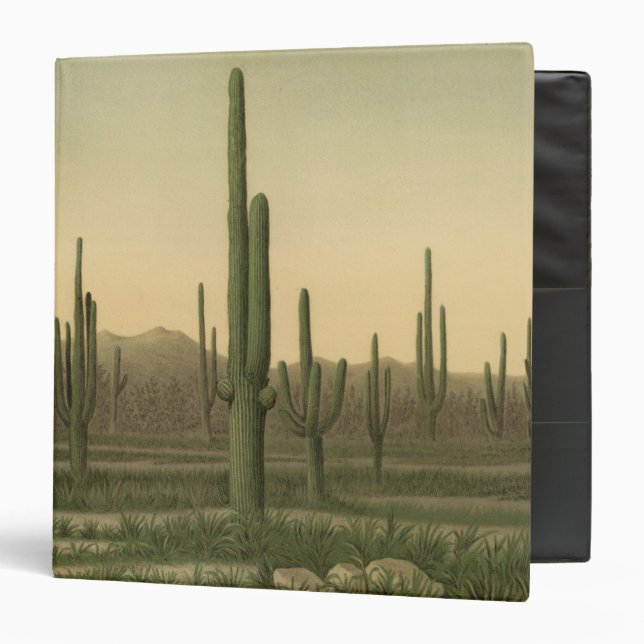 Cactus grove, Arizona 3 Ring Binder (Front/Inside)