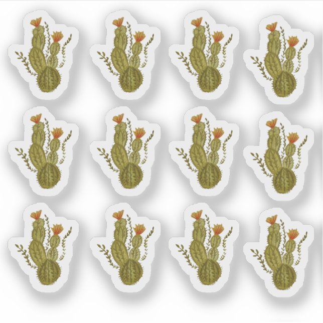 Cactus Hand Painted Elegant Greenery Plant Sticker (Front)