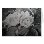 Cactus in Bloom (Front Horizontal)