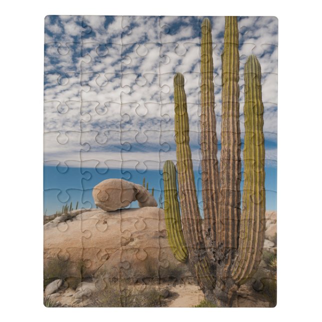 Cactus In Desert Scenic Jigsaw Puzzle (Puzzle Vertical)