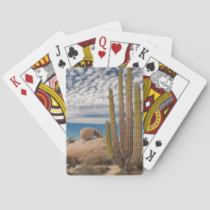 Cactus In Desert Scenic Poker Cards