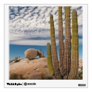 Cactus In Desert Scenic Wall Decal