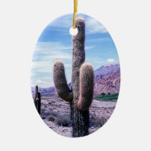 Cactus in Jujuy Province _ Northern Argentina Ceramic Ornament