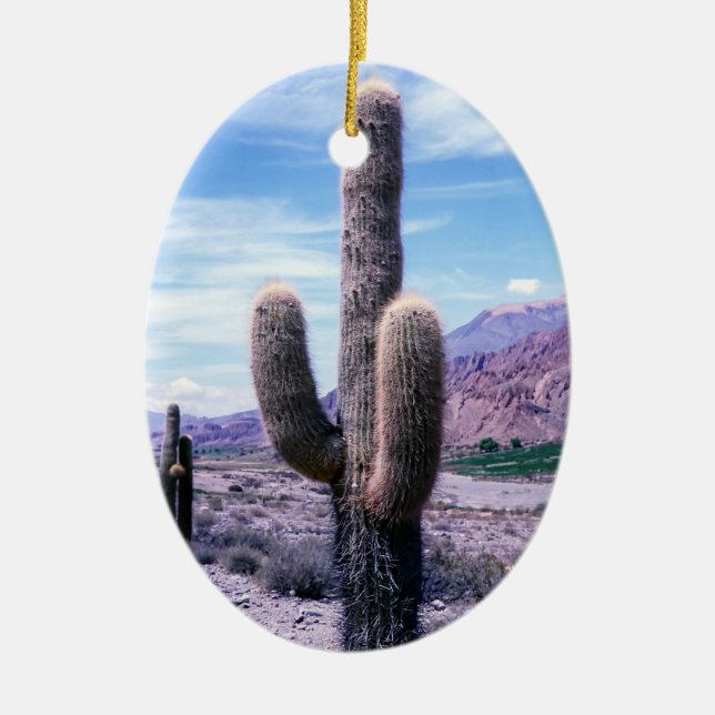 Cactus in Jujuy Province - Northern Argentina Ceramic Ornament (Front)