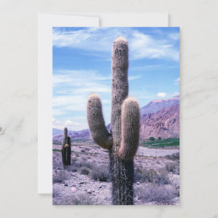 Cactus in Jujuy Province - Northern Argentina Invitation