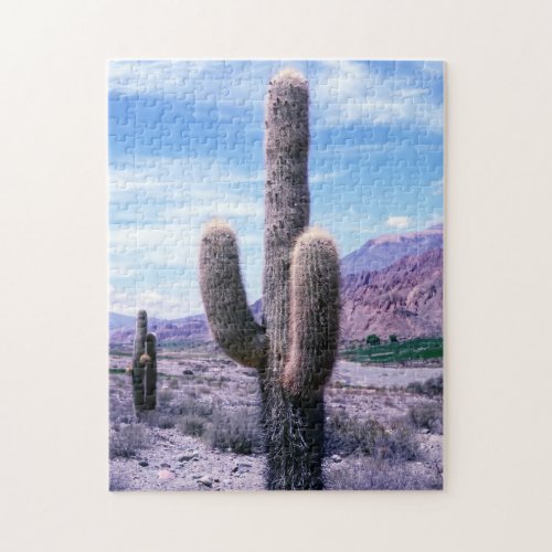 Cactus in Jujuy Province _ Northern Argentina Jigsaw Puzzle