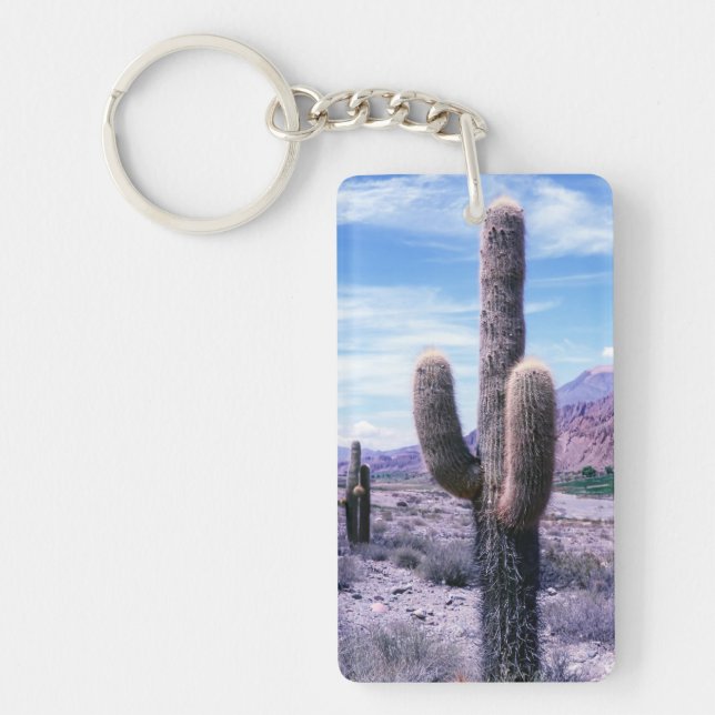 Cactus in Jujuy Province - Northern Argentina Keychain (Front)