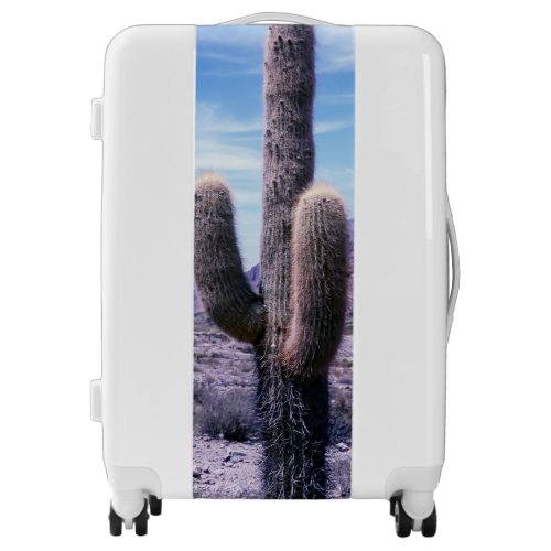 Cactus in Jujuy Province _ Northern Argentina Luggage